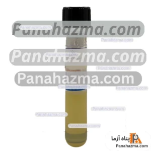سوش باکتری استافیلوکوکوس اورئوس ATCC 25923
