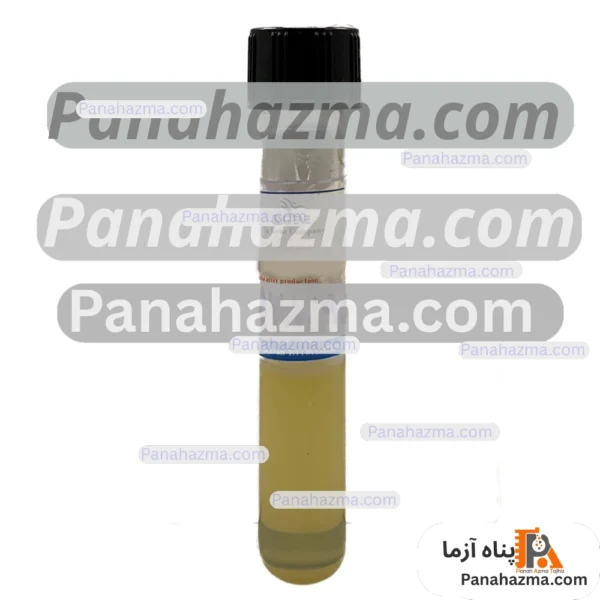 سوش باکتری استافیلوکوکوس اورئوس ATCC 25923