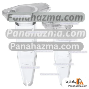 میکروتیوب ۰.۵ سی سی اکسپی لب مدل درب دار بسته ۱۰۰۰ عددی