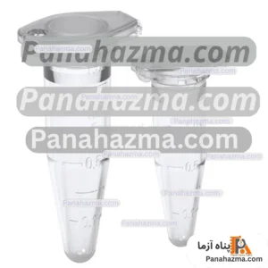 میکروتیوب ۱.۵ سی سی اکسپی لب مدل درب دار بسته ۵۰۰ عددی
