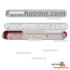 ویال فور (Browne)